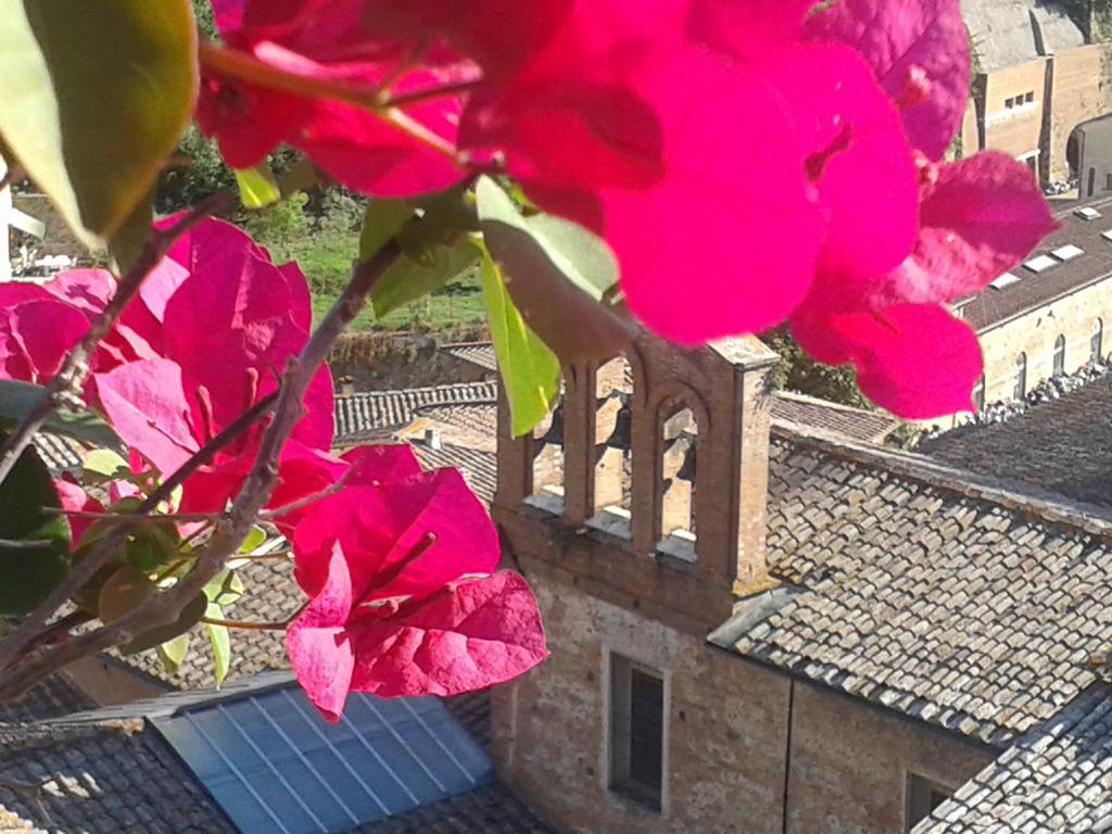 Residenza D'Epoca Campo Regio Relais Bed & Breakfast เซียนา ภายนอก รูปภาพ